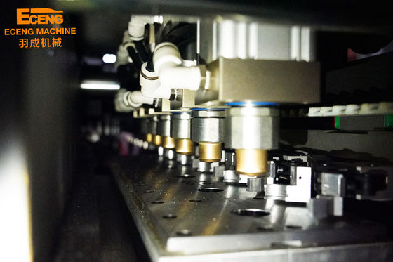 De Flessenslag van de Ecengk6 Drank het Vormen het Plastic Sap van de Machinehoge snelheid