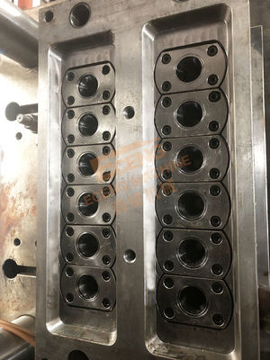 4Cr13 van het de Injectievoorvormen van het roestvrij staalhuisdier Plastic Vorm 12 Holte