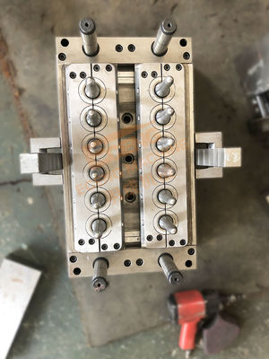 4Cr13 van het de Injectievoorvormen van het roestvrij staalhuisdier Plastic Vorm 12 Holte