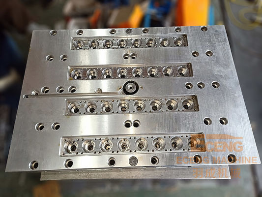 4Cr13 SS Vorm 730x450x480mm van de HUISDIERENfles Injectie het Vormen