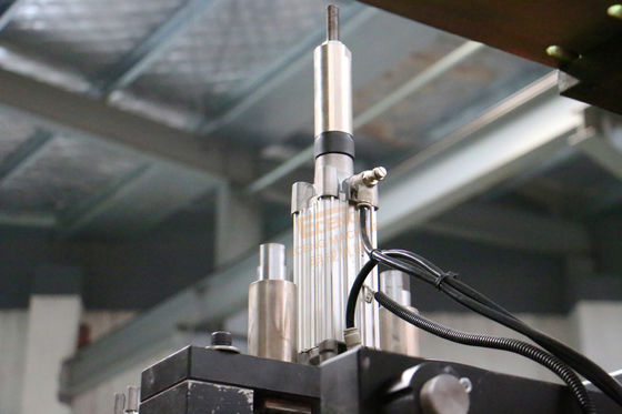 Automatische Eceng-Machine van het de Slagafgietsel van de HUISDIERENrek 3 Fase 220V